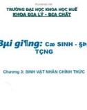 Chương 3: SINH VẬT NHÂN CHÍNH THỨC