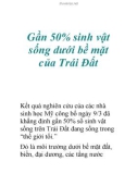 Gần 50% sinh vật sống dưới bề mặt của Trái Đất