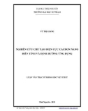 Luận văn Thạc sĩ Khoa học Vật chất: Nghiên cứu chế tạo điện cực cacbon nano biến tính và định hướng ứng dụng