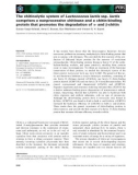 Báo cáo khoa học: The chitinolytic system of Lactococcus lactis ssp. lactis comprises a nonprocessive chitinase and a chitin-binding protein that promotes the degradation of a- and b-chitin