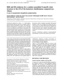 Báo cáo khoa học: NMR and MS evidences for a random assembled O-speciﬁc chain structure in the LPS of the bacterium Xanthomonas campestris pv. Vitians A case of unsystematic biosynthetic polymerization