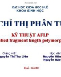 Chỉ thị phân tử: Kỹ thuật AFLP