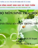 ĐỀ TÀI: HỆ SINH THÁI AO NUÔI TRỒNG THỦY SẢN