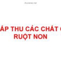 HẤP THU CÁC CHẤT Ở RUỘT NON