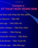 Bài giảng Sinh học và kỹ thuật trồng nấm - Chương 5: Kỹ thuật nuôi trồng nấm