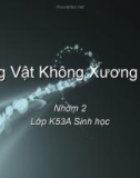 Phân loại Động vật không xương sống