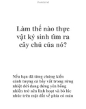 Làm thế nào thực vật ký sinh tìm ra cây chủ của nó?