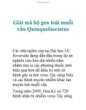 Giải mã bộ gen loài muỗi vằn Quinquefasciatus