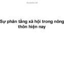 Bài giảng Sự phân tầng xã hội trong nông thôn hiện nay