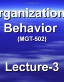 Organizational behavior: Lecture 3 - Dr. Mukhtar Ahmed