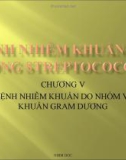 BỆNH NHIỄM KHUẨN DO GIỐNG STREPTOCOCCUS - CHƯƠNG V