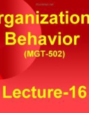 Organizational behavior: Lecture 16 - Dr. Mukhtar Ahmed