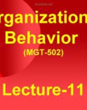 Organizational behavior: Lecture 11 - Dr. Mukhtar Ahmed