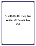 Nghi lễ độc đáo trong đám cưới người Dao đỏ, Lào Cai