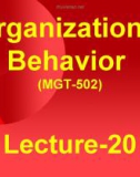 Organizational behavior: Lecture 20 - Dr. Mukhtar Ahmed