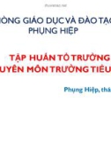 Bài giảng Tập huấn tổ trưởng chuyên môn trường tiểu học