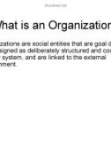 Organization theory and design: Lecture 2