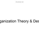 Organization theory and design: Lecture 1