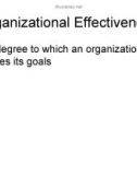 Organization theory and design: Lecture 7