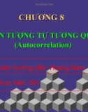 Chương 8: Hiện tượng tự tương quan