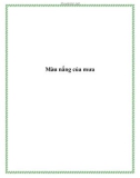 Màu nắng của mưa