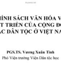 Bài giảng Chính sách văn hóa với phát triển của cộng đồng các dân tộc Việt Nam - PGS.TS. Vương Xuân Tình