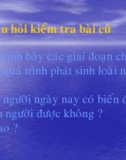 Bài 26: Các giai đoạn chính trong quá trình phát sinh loài người