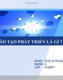 Bài thuyết trình: Đào tạo phát triển là gì?