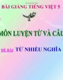 Bài giảng Luyện từ và câu: Từ nhiều nghĩa - Tiếng việt 5 - GV.N.T.Hồng