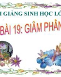 Bài giảng Sinh học 10 bài 19: Giảm phân