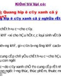 Bài giảng điện tử môn sinh học: Sự hô hấp ở thực vật