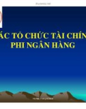 Chương 9- TỔ CHỨC TÀI CHÍNH PHI NGÂN HÀNG [Tiền tệ ngân hàng]