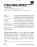 Báo cáo khoa học: Site-speciﬁc casein kinase 1e-dependent phosphorylation of Dishevelled modulates b-catenin signaling