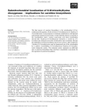 Báo cáo khoa học: Submitochondrial localization of 6-N-trimethyllysine dioxygenase ) implications for carnitine biosynthesis