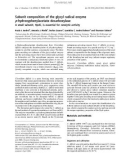 Báo cáo khoa học: Subunit composition of the glycyl radical enzyme p-hydroxyphenylacetate decarboxylase