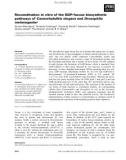 Báo cáo khoa học: Reconstitution in vitro of the GDP-fucose biosynthetic pathways of Caenorhabditis elegans and Drosophila melanogaster