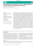 Báo cáo khoa học: Re-evaluation of the function of the F420dehydrogenase in electron transport ofMethanosarcina mazei