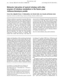 Báo cáo Y học: Molecular interaction of neutral trehalase with other enzymes of trehalose metabolism in the ﬁssion yeast Schizosaccharomyces pombe