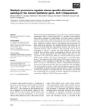 Báo cáo khoa học: Multiple promoters regulate tissue-speciﬁc alternative splicing of the human kallikrein gene, KLK11⁄hippostasin