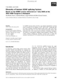 Báo cáo khoa học: Diversity of human U2AF splicing factors Based on the EMBO Lecture delivered on 7 July 2005 at the 30th FEBS Congress in Budapest