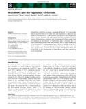 Báo cáo khoa học: MicroRNAs and the regulation of ﬁbrosis