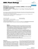 báo cáo khoa học: Identification of novel and candidate miRNAs in rice by high throughput sequencing