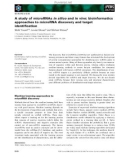 Báo cáo khoa học: A study of microRNAs in silico and in vivo: bioinformatics approaches to microRNA discovery and target identiﬁcation