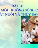 Bài giảng Công nghệ 10 bài 34: Tạo môi trường sống cho vật nuôi và thủy sản