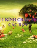 Đại cương về thị trường chứng khoán