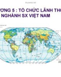 Bài giảng Chương 5: Tổ chức lãnh thổ các ngành SX Việt Nam