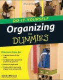 Do it yourself Organizing for Dummies