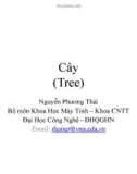 Khoa học máy tính - Cây (Tree)