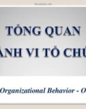 Tổng quan hành vi tổ chức