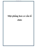 Mặt phẳng hoá cơ cấu tổ chức